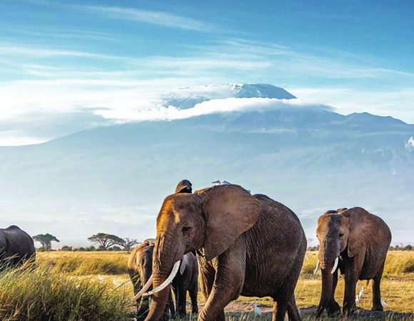 Top Destinations: Amboseli National Park